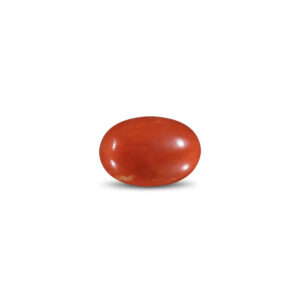 Red Coral - 14.03 Carat