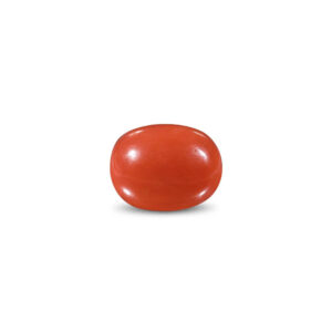 Red Coral - 15.05 Carat