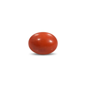 Red Coral - 15.67 Carat