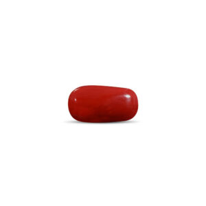 Red Coral - 15.97 Carat