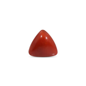 Red Coral - 20.36 Carat