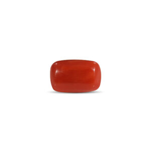 Red Coral - 2.17 Carat
