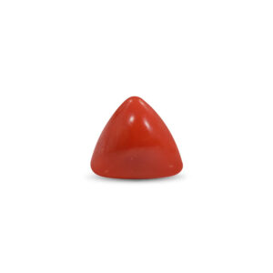 Red Coral - 22.2 Carat
