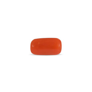 Red Coral - 2.26 Carat