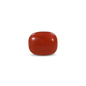 Red Coral - 33.2 Carat