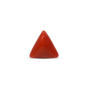 Red Coral - 3.69 Carat