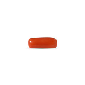 Red Coral - 4.09 Carat