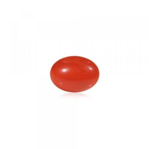 Red Coral (Laal Moonga) - 4.5 Carat