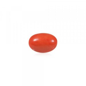 Red Coral (Moonga) - 4.54 Carat