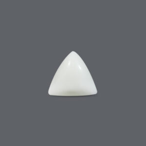 White Coral - 12.64 Carat