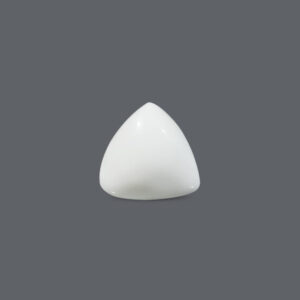 White Coral - 22.55 Carat