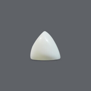 White Coral - 12.32 Carat