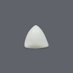 White Coral - 12.53 Carat