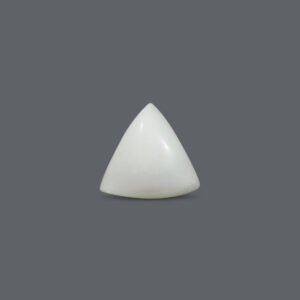 White Coral - 12.62 Carat