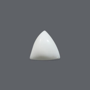 White Coral - 14.05 Carat