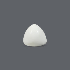 White Coral - 14.92 Carat