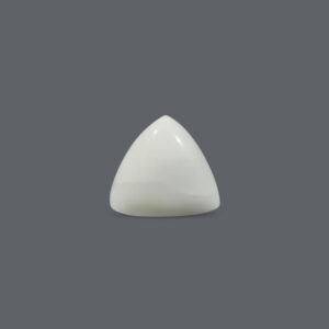 White Coral - 15.77 Carat