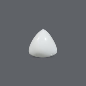 White Coral - 15.92 Carat