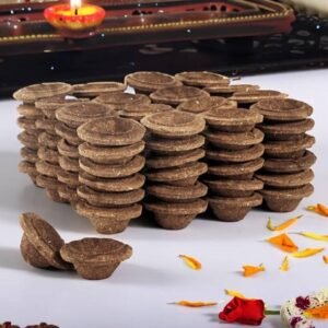 Gaukosh Panchgavya Diya