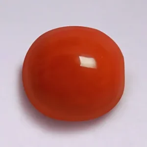 Red Coral - 3.53 Carats