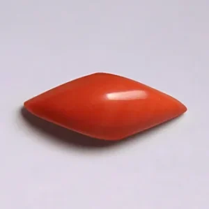 Red Coral - 3.87 Carats