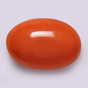 Red Coral - 3.98 Carats