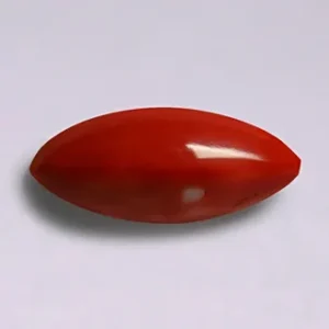 Red Coral - 3.65 Carats