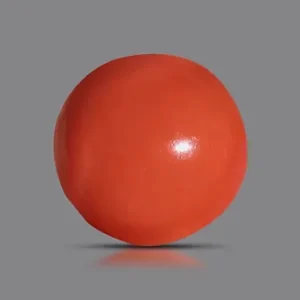 Red Coral - 3.95 Carats