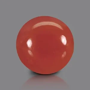 Red Coral - 3.23 Carats
