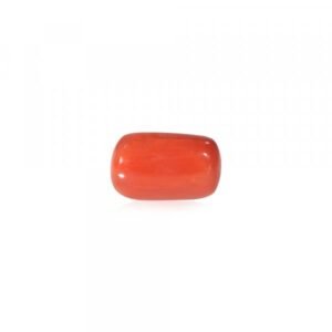 Red Coral - 21.52 Carat