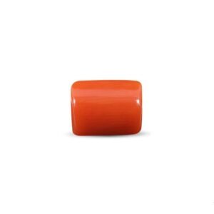 Red Coral (Moonga stone) - 4.00 Carat