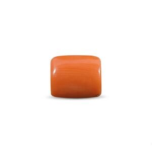 Red Coral (Moonga) - 4.40 Carat