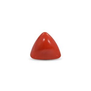 Red Coral - 22.2 Carat
