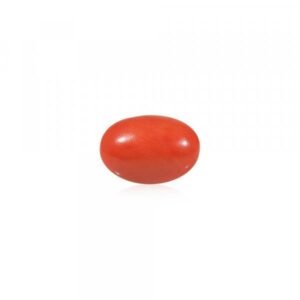 Red Coral (Moonga) - 4.54 Carat